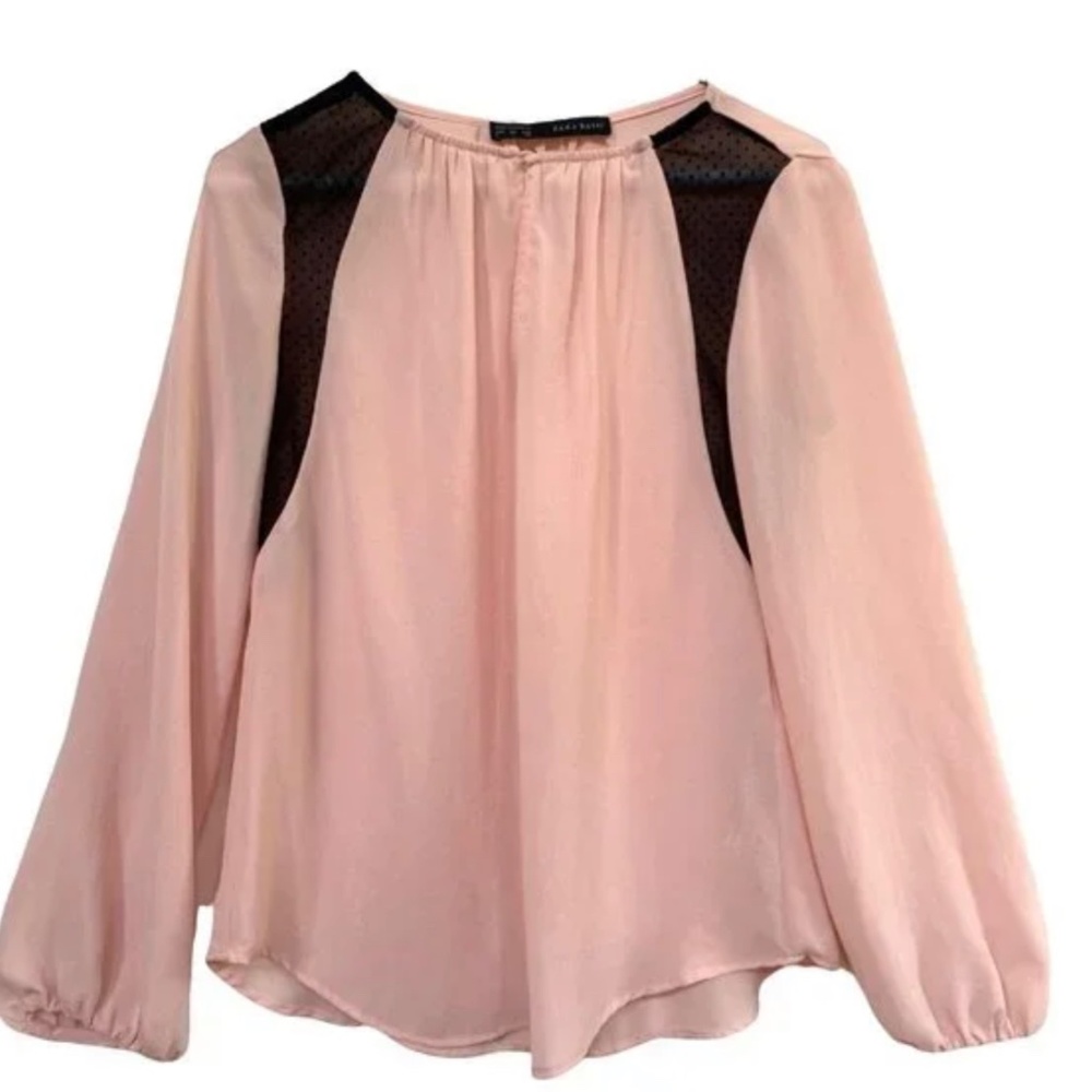 Zara Worn Once Sheer Blouse